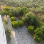 Tassos & Marios I * Laganas